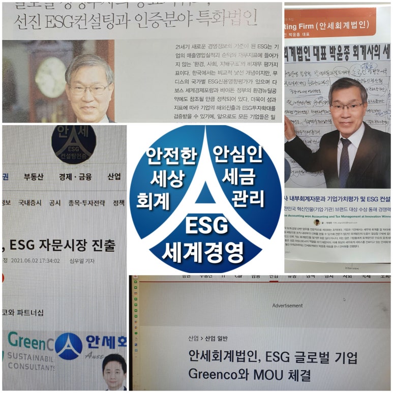 안세컨설팅 이미지