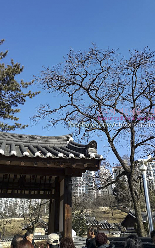 동춘당한의원 이미지