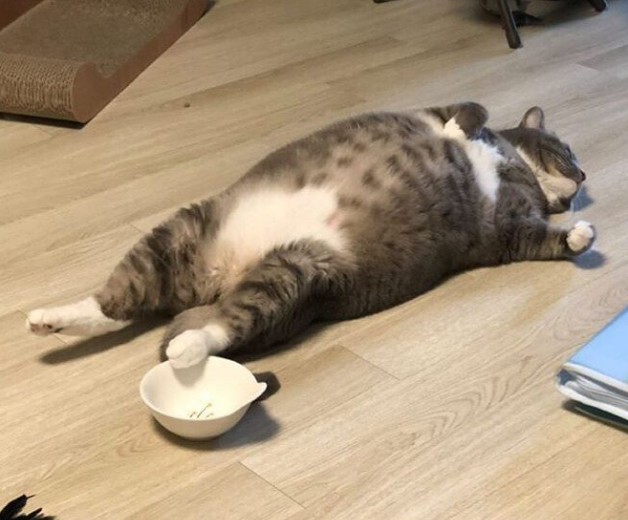 북가좌동헬스 이미지