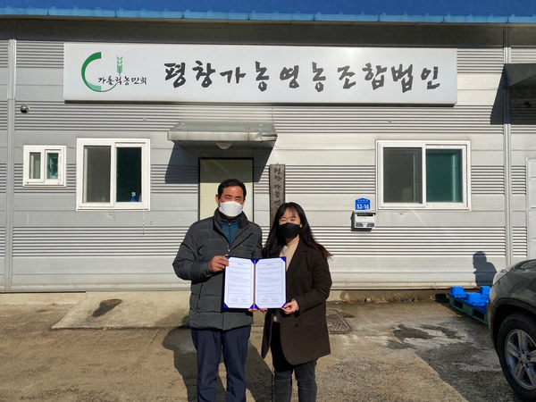 평창토종강냉이 이미지