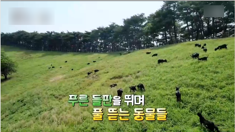 재용정보 이미지