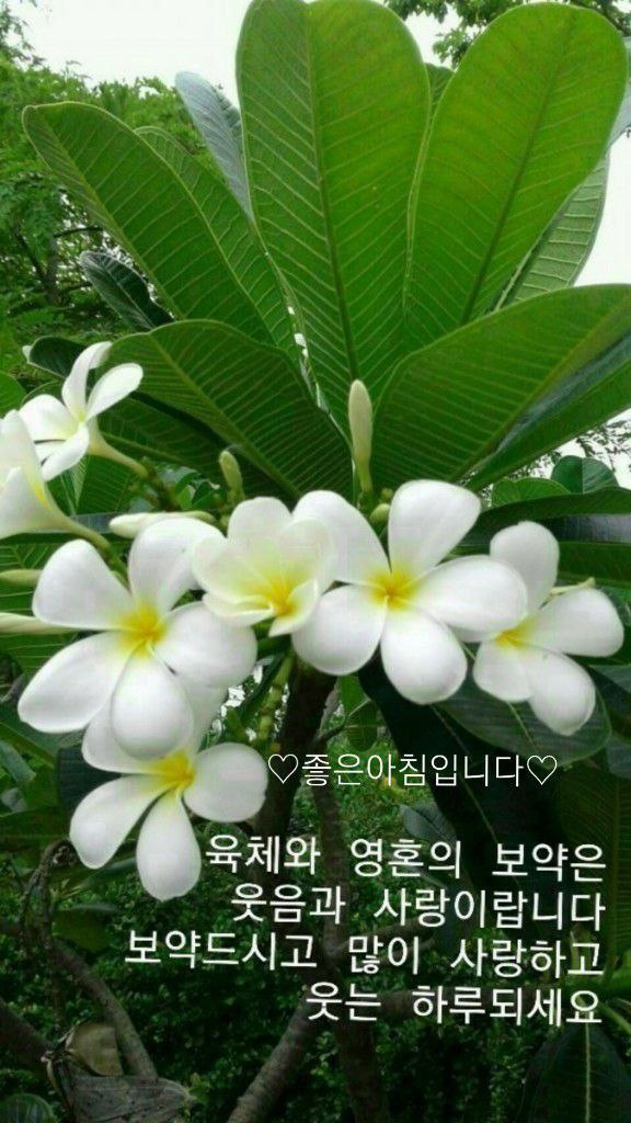 속수지례 이미지