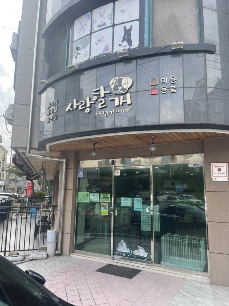 카페 사랑 이미지