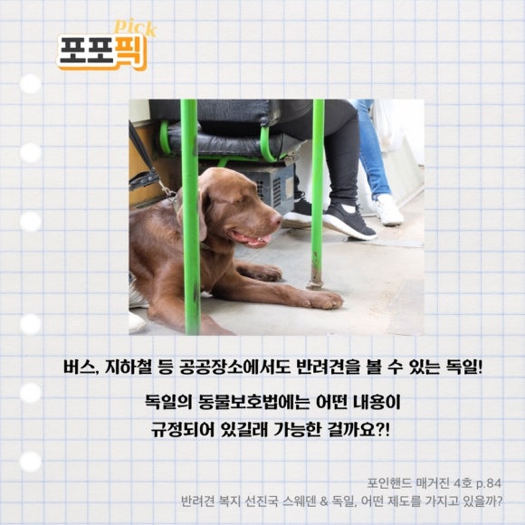 포인핸드 이미지