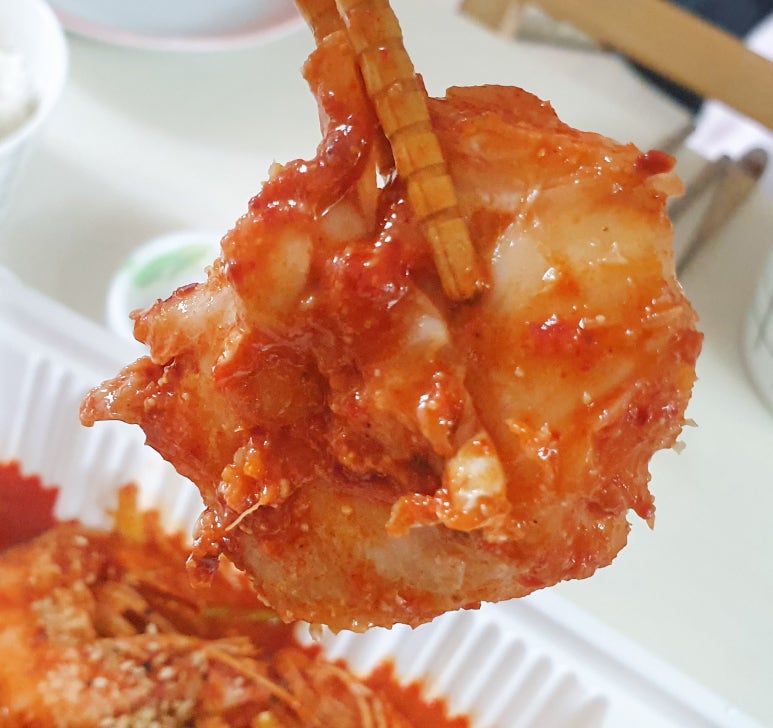 영광이네 이미지