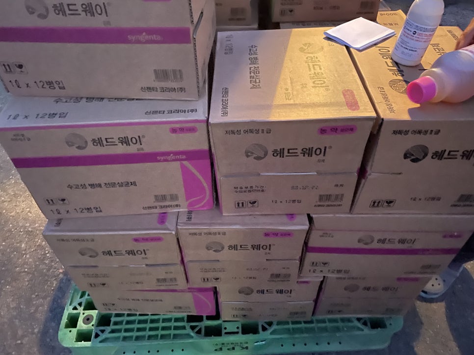 케이디스타 이미지
