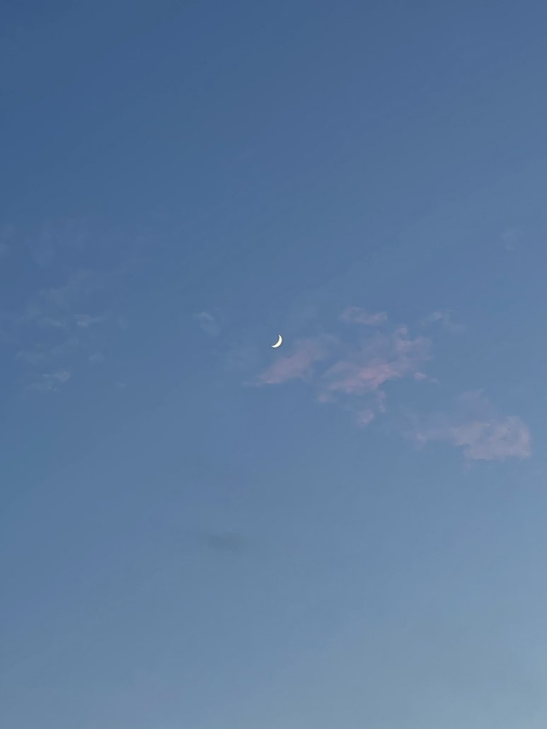 황성숯불갈비 이미지