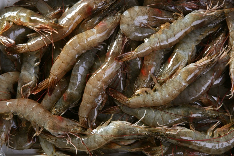 밥도둑반찬가게 이미지
