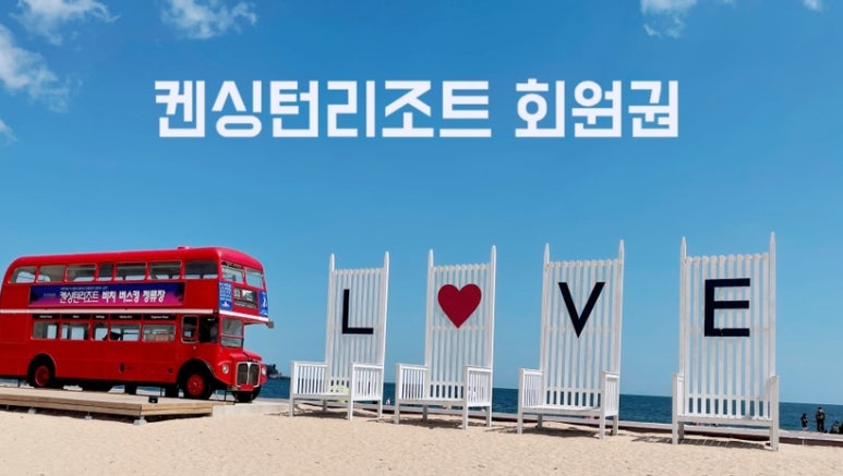 돈사미 이미지