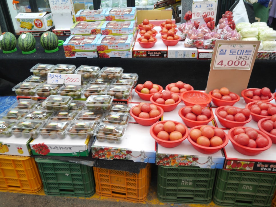 진선축산 이미지