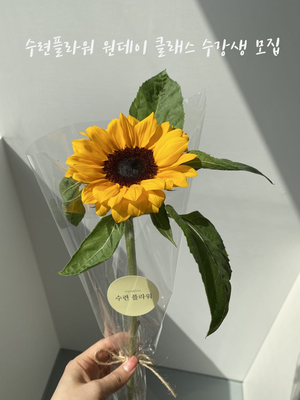 수련플라워 이미지