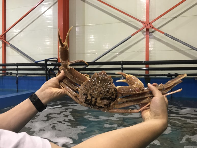 유진포장주식회사 이미지