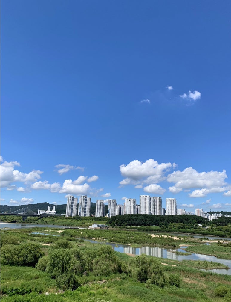 달콩과일쥬스 이미지