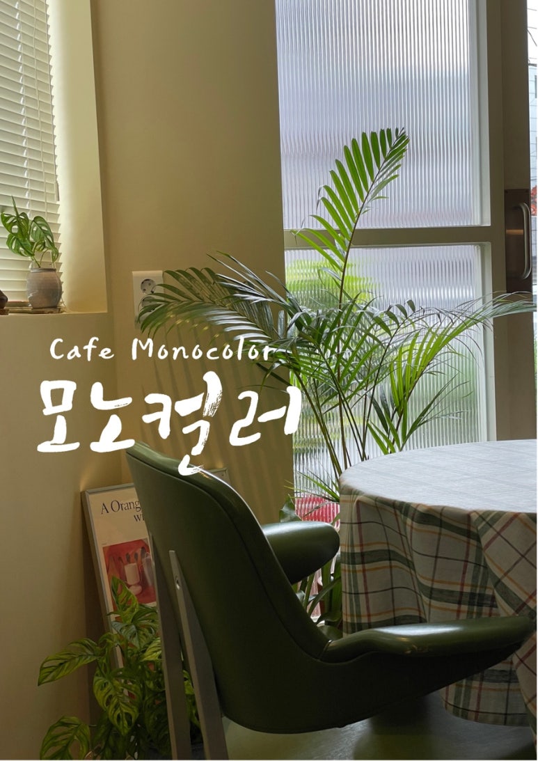 모노컬러(monocolor) 이미지