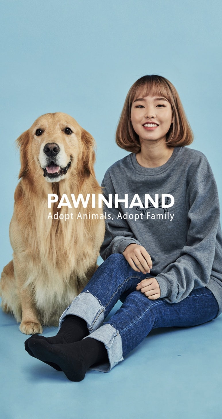 포인핸드 이미지
