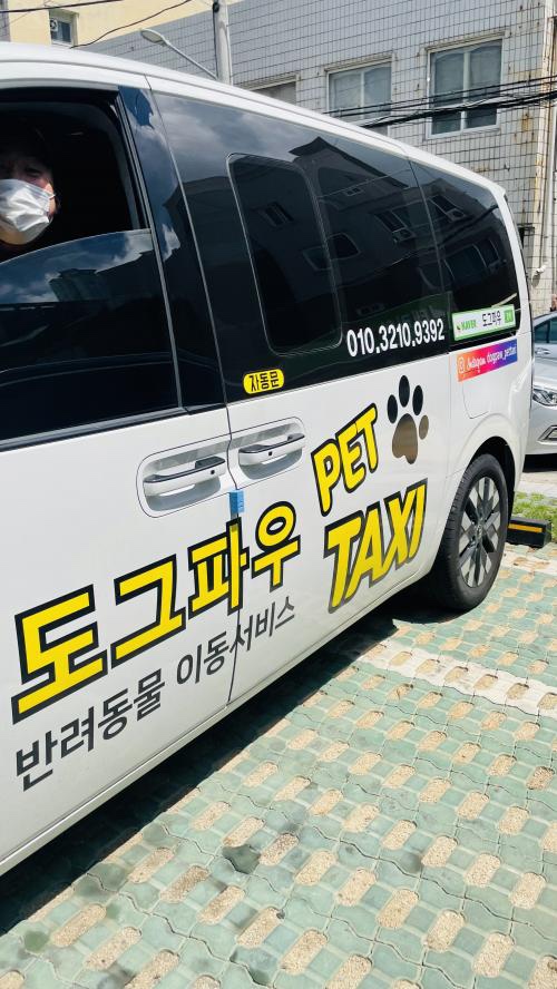 도그파우 이미지