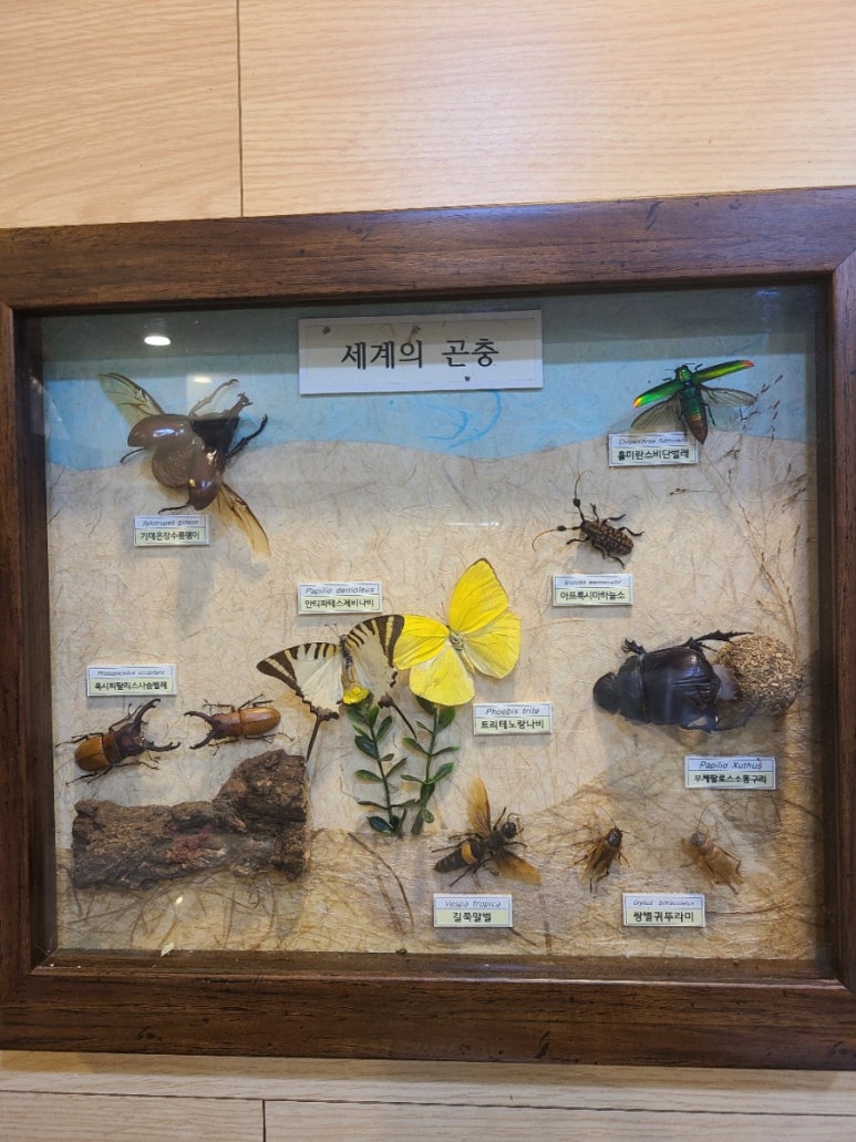 커피에빠진장풍이 이미지