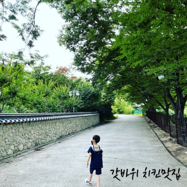 안동선계 이미지
