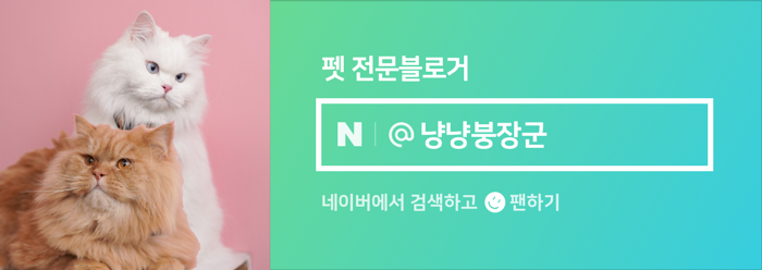 웰츠헤어 이미지