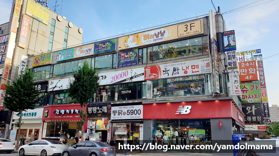 히히냥냥 이미지