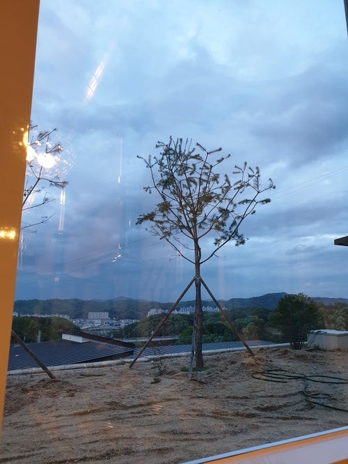 안포정 이미지
