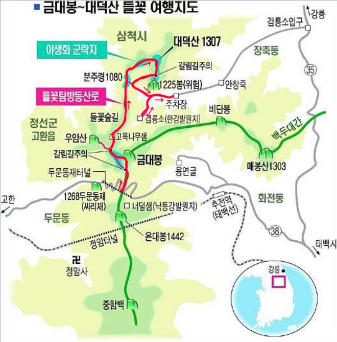 숲향여행사 이미지