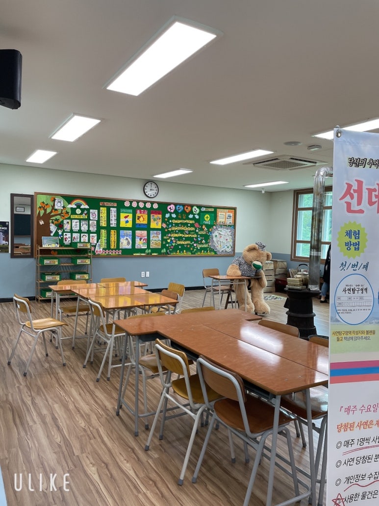 신진미헤어테라피 이미지