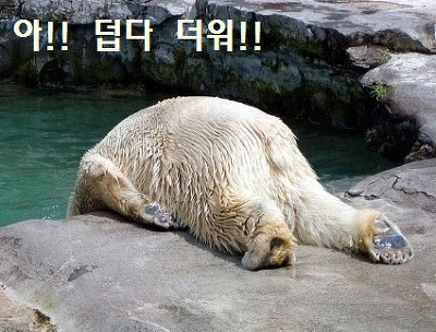 (주)테이스티코리아 이미지