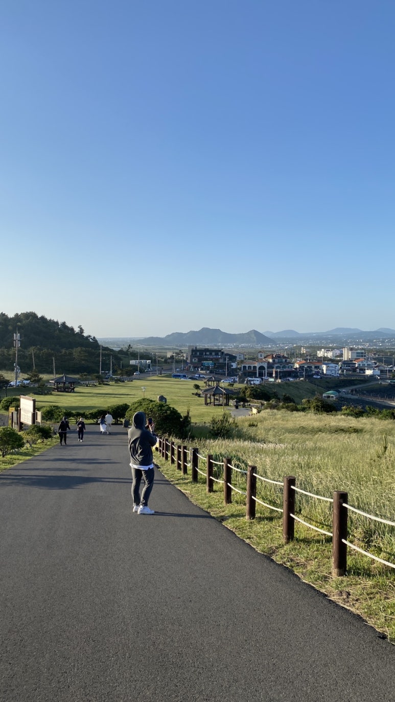 브릭216 이미지