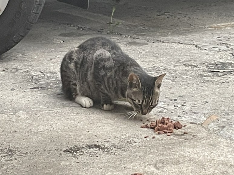 복희슈퍼 이미지
