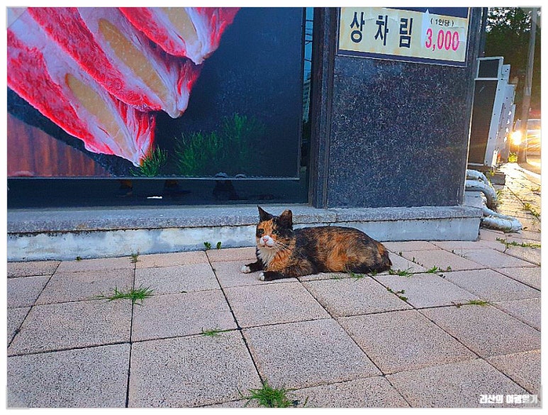 장가네홍천한우 이미지