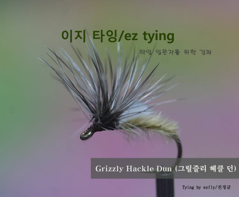 이지플라이 이미지
