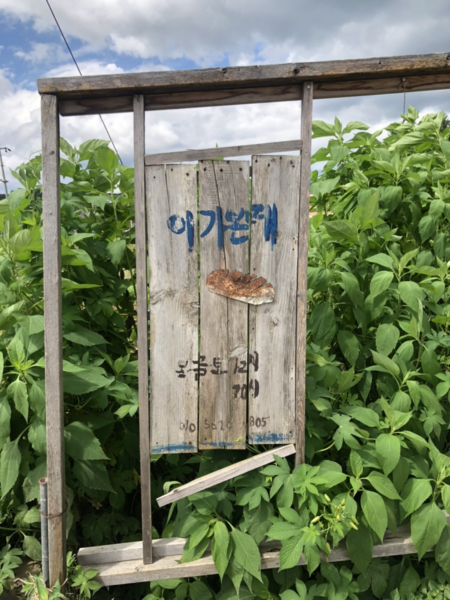 이가본때 이미지