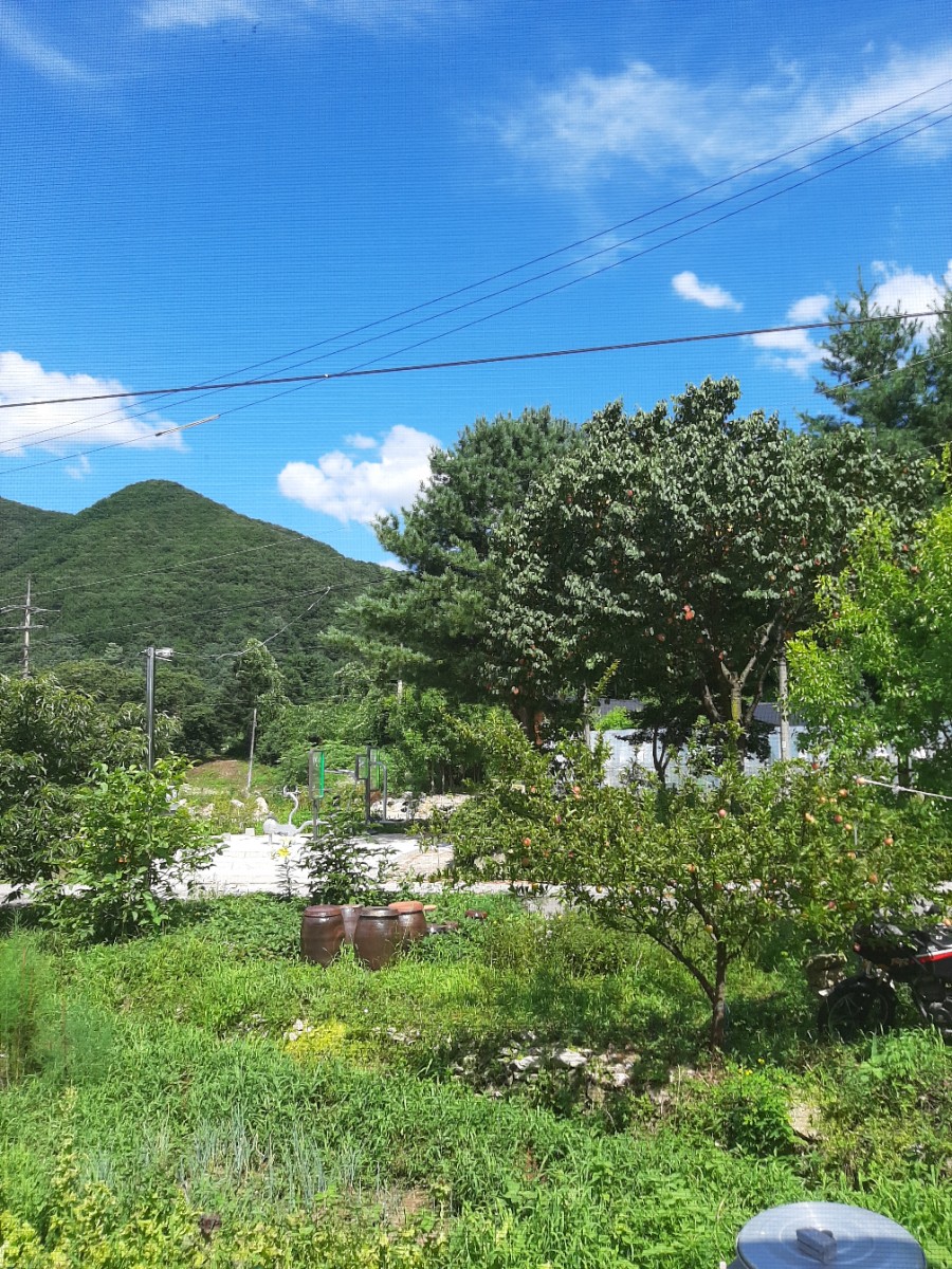 옥민박 이미지