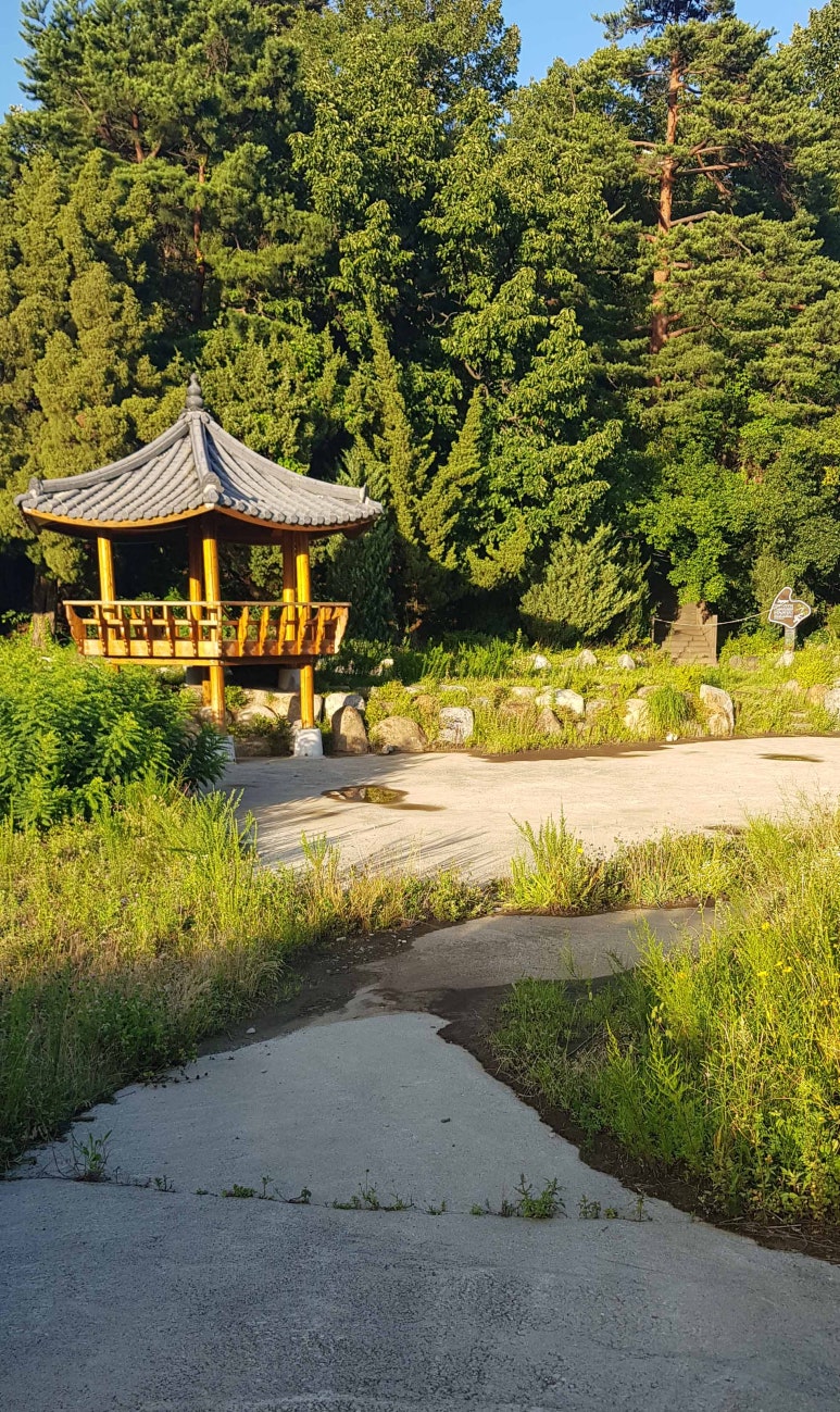 호산삼 이미지
