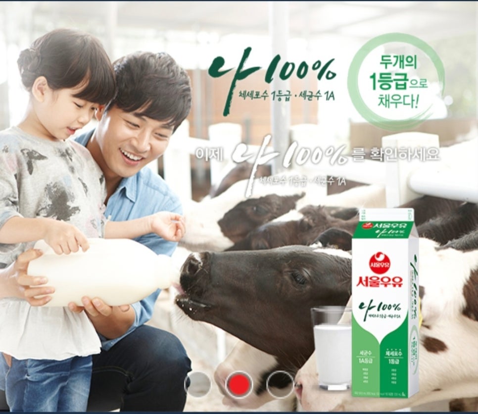 매일유업 주식회사 이미지