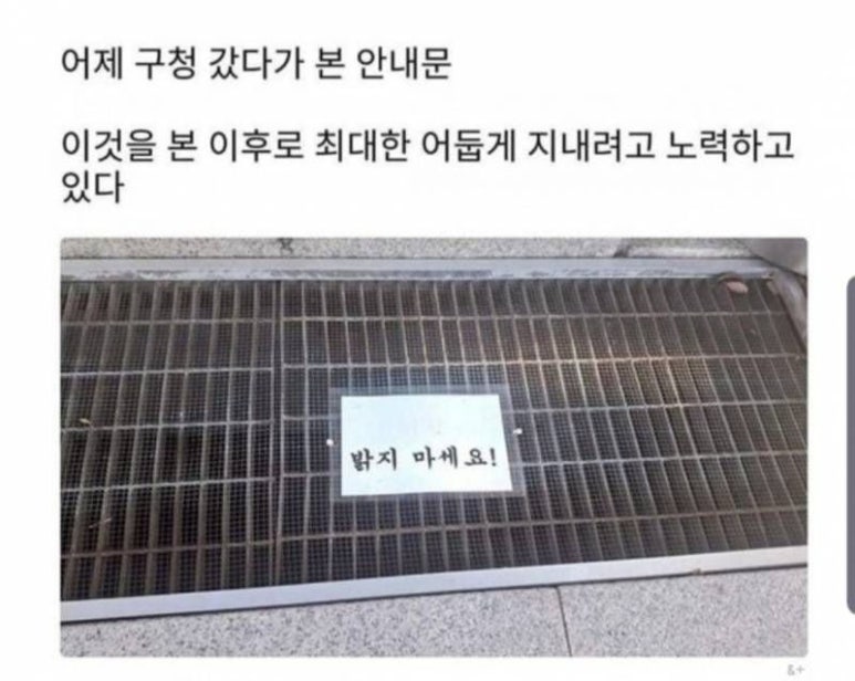 한채쭈꾸미 이미지