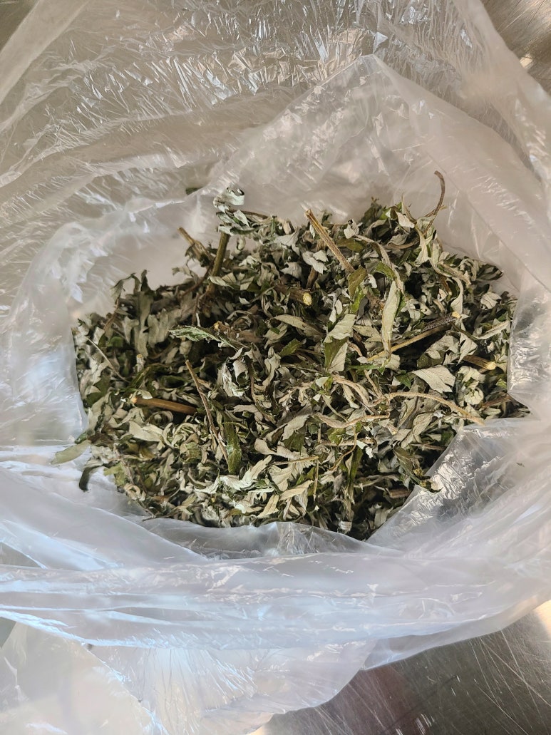 애주 이미지