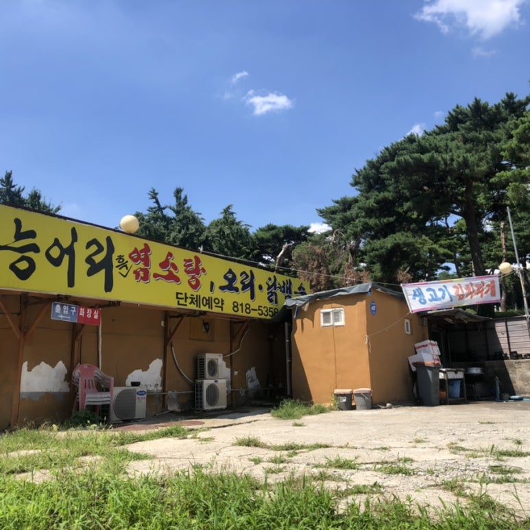 능어리흑염소 이미지