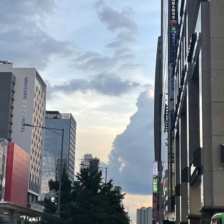 야키토리 지중 이미지