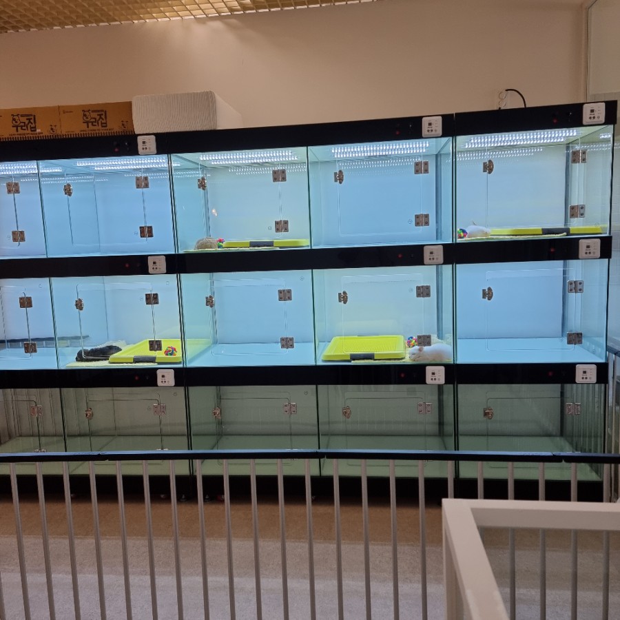 오거리다방카페 이미지