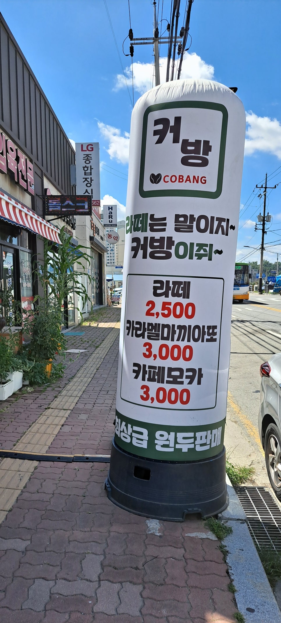 커방 이미지