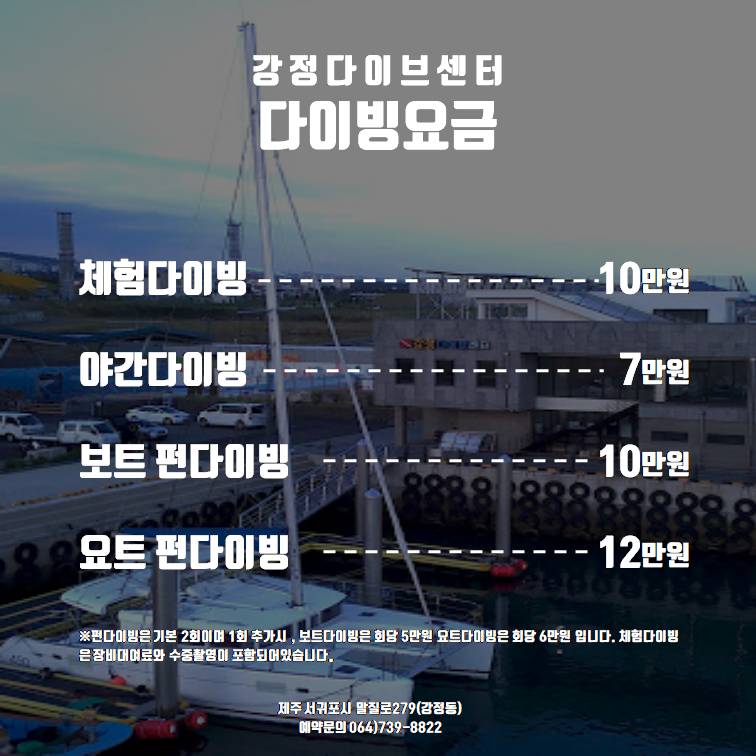 강정다이브센터 이미지