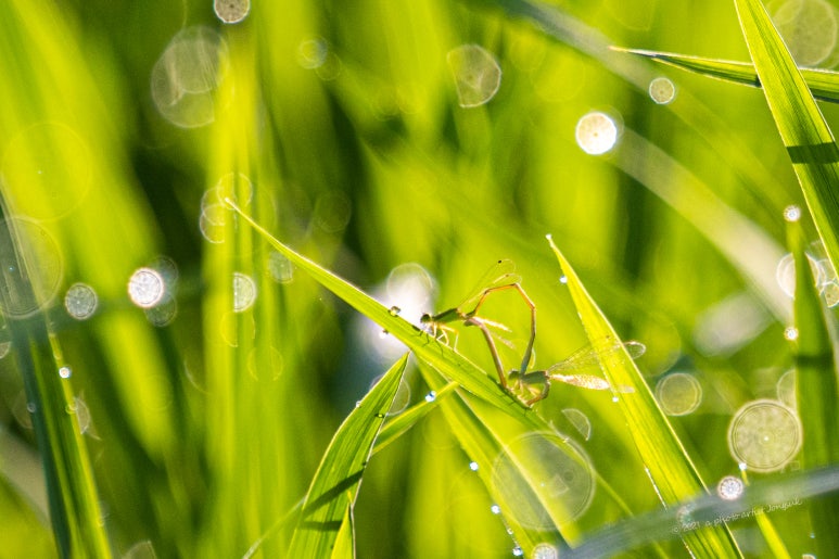 이브엔핀스튜디오 이미지
