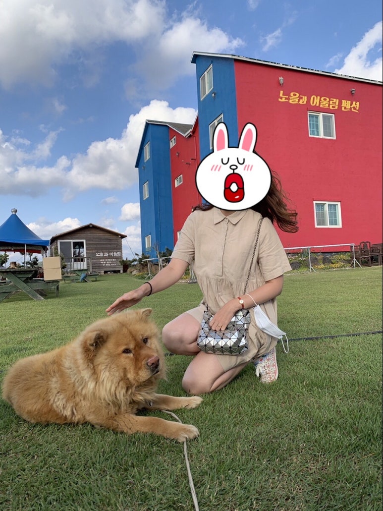 돌고래전망카페 이미지