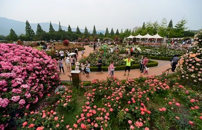 명서유통 이미지