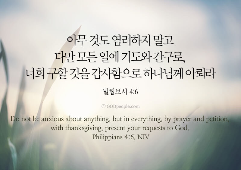 천씨씨커피구평점 이미지