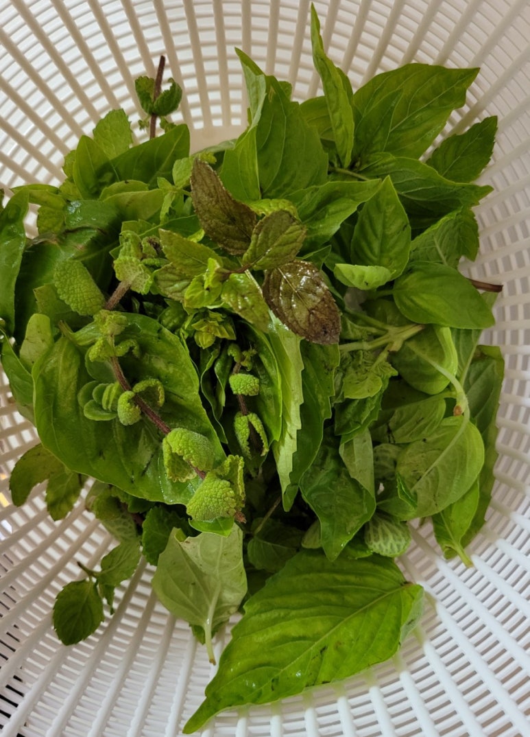 콩닥허브 이미지