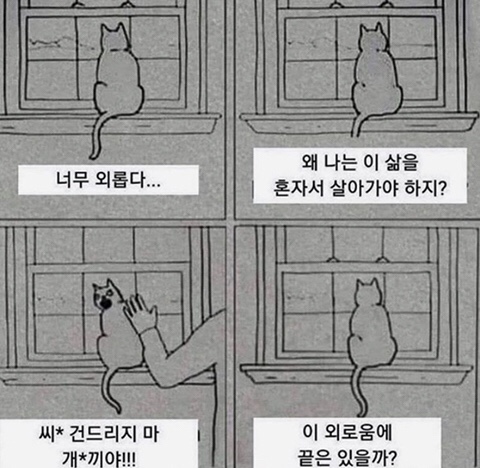심심이 (주) 이미지