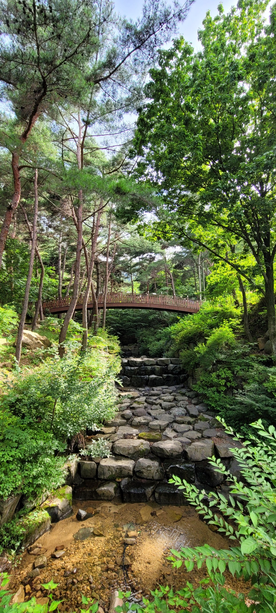 화왕산자연휴양림 이미지